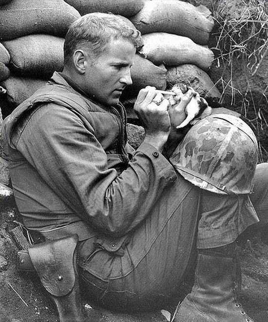 Sargento Frank Praytor cuida de un gatito de dos semanas durante la Guerra de Corea